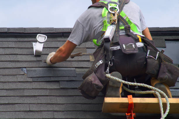 Best Roof Gutter Cleaning  in Twin City, GA
