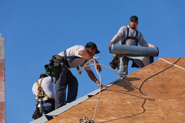Best Roofing Contractors for Homes  in Twin City, GA