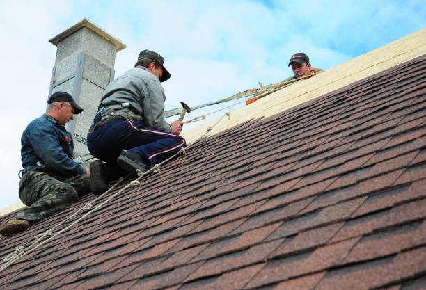 Roof Gutter Cleaning in Twin City, GA