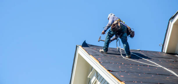 Best Gutter Installation and Roofing  in Twin City, GA